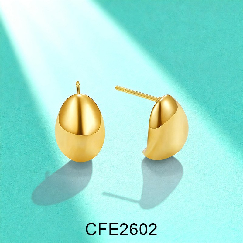 Stainless Steel Earrings CFE2602, Jewelry & Accessories from Taizhou, China - Lanmao Jewelry — Taizhou Huihuan International Trading Co., Ltd.