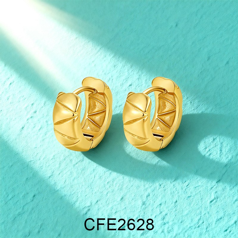 Stainless Steel Earrings CFE2628, Jewelry & Accessories from Taizhou, China - Lanmao Jewelry — Taizhou Huihuan International Trading Co., Ltd.