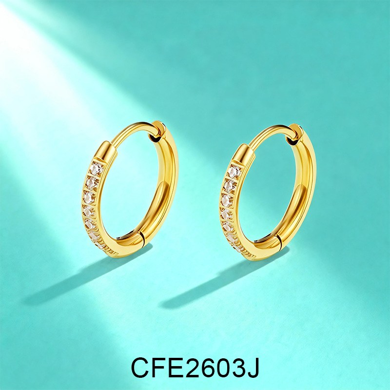 Stainless Steel Earrings CFE2636, Jewelry & Accessories from Taizhou, China - Lanmao Jewelry — Taizhou Huihuan International Trading Co., Ltd.