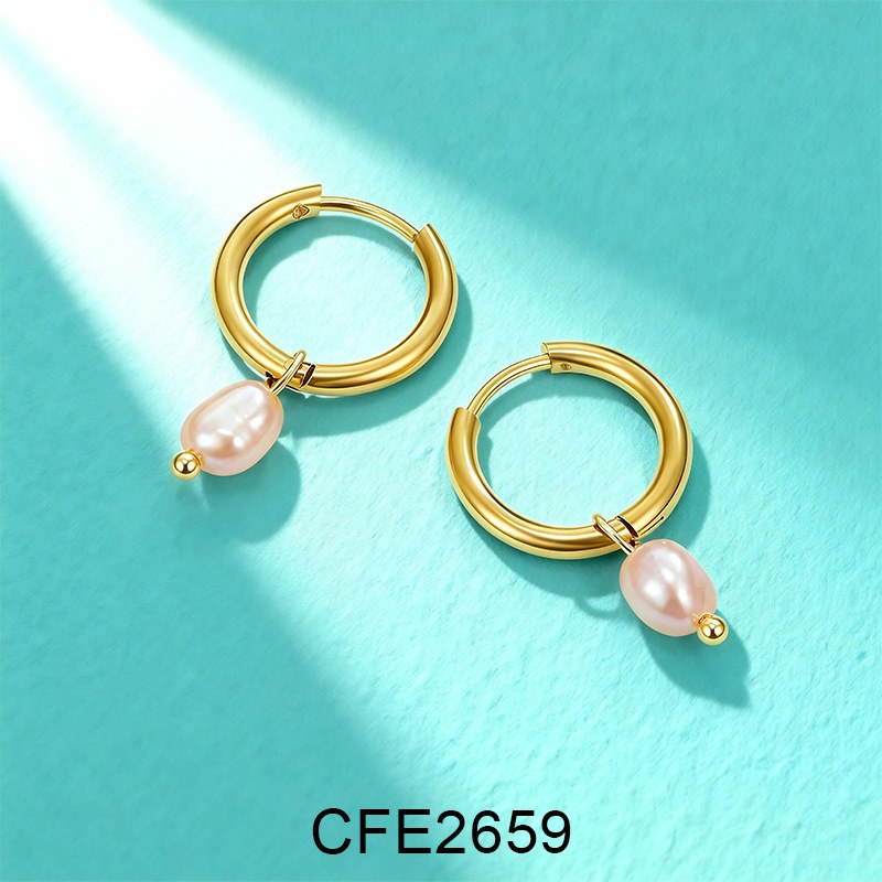 Stainless Steel Earrings CFE2659, Jewelry & Accessories from Taizhou, China - Lanmao Jewelry — Taizhou Huihuan International Trading Co., Ltd.