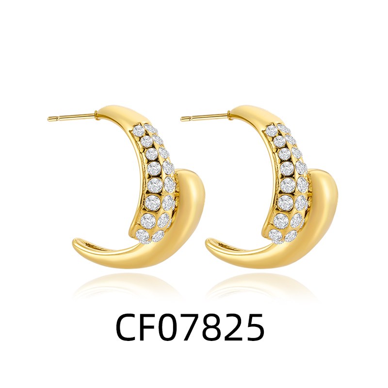 Stainless Steel Earrings CFE4794, Jewelry & Accessories from Taizhou, China - Lanmao Jewelry — Taizhou Huihuan International Trading Co., Ltd.
