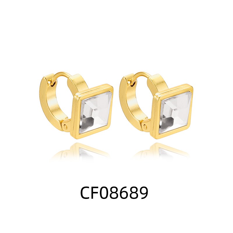 Stainless Steel Earrings CFE4958, Jewelry & Accessories from Taizhou, China - Lanmao Jewelry — Taizhou Huihuan International Trading Co., Ltd.