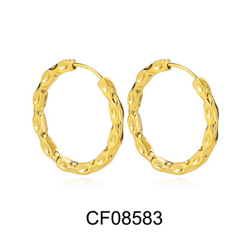 Stainless Steel Earrings CFE5066, Jewelry & Accessories from Taizhou, China - Lanmao Jewelry — Taizhou Huihuan International Trading Co., Ltd.