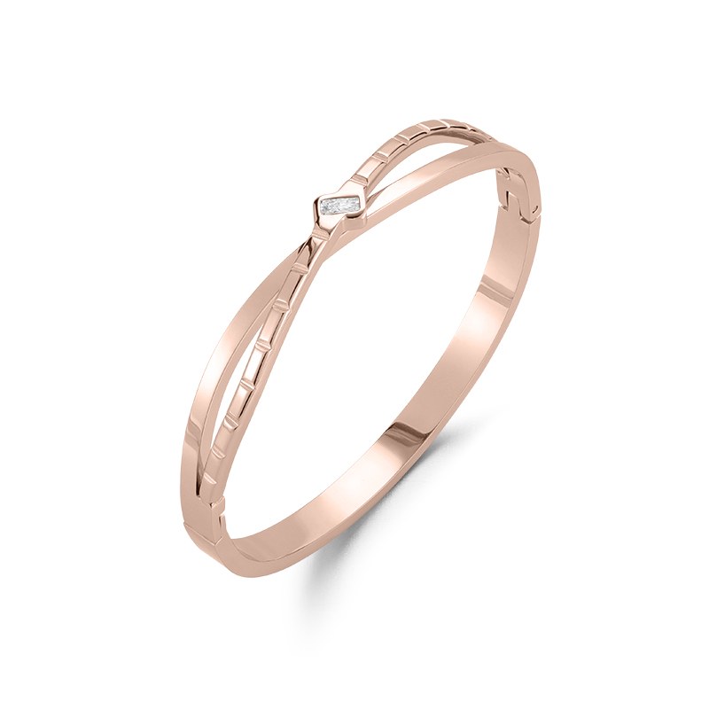 Stainless Steel Bracelet / Bangle CFSZ898, Jewelry & Accessories from Taizhou, China - Lanmao Jewelry — Taizhou Huihuan International Trading Co., Ltd.