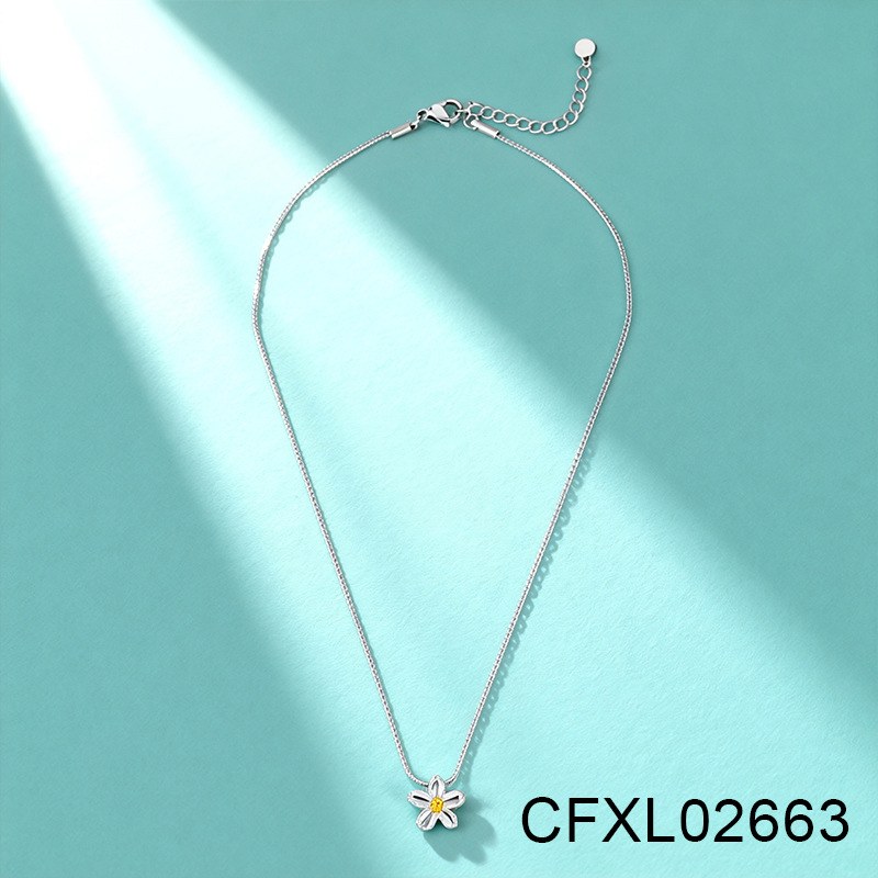 Stainless Steel Necklace CFXL02663, Jewelry & Accessories from Taizhou, China - Lanmao Jewelry — Taizhou Huihuan International Trading Co., Ltd.