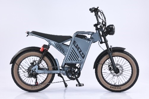 20 Ranger Electric Bike, Electric Bicycles from Tianjin, China - Tianjin Milan Technology Co., Ltd.