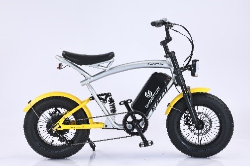 16 Taurus Electric Bike, Electric Bicycles from Tianjin, China - Tianjin Milan Technology Co., Ltd.