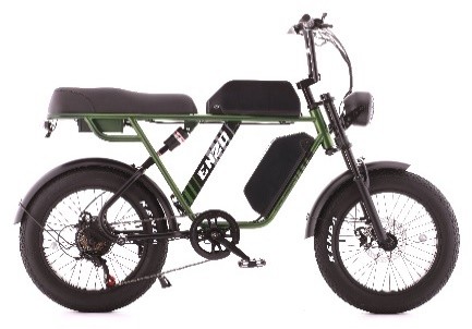 20 Cruiser Electric Bike