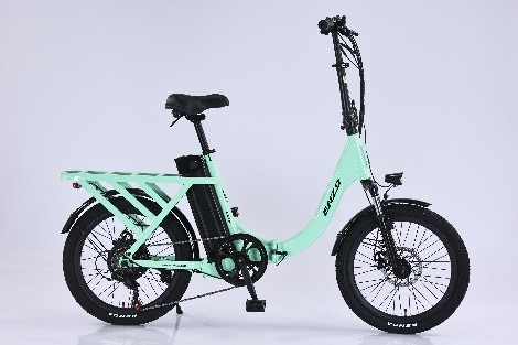 20 Leaf Electric Bike