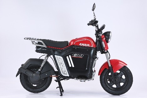 16 EM1 Electric Bike