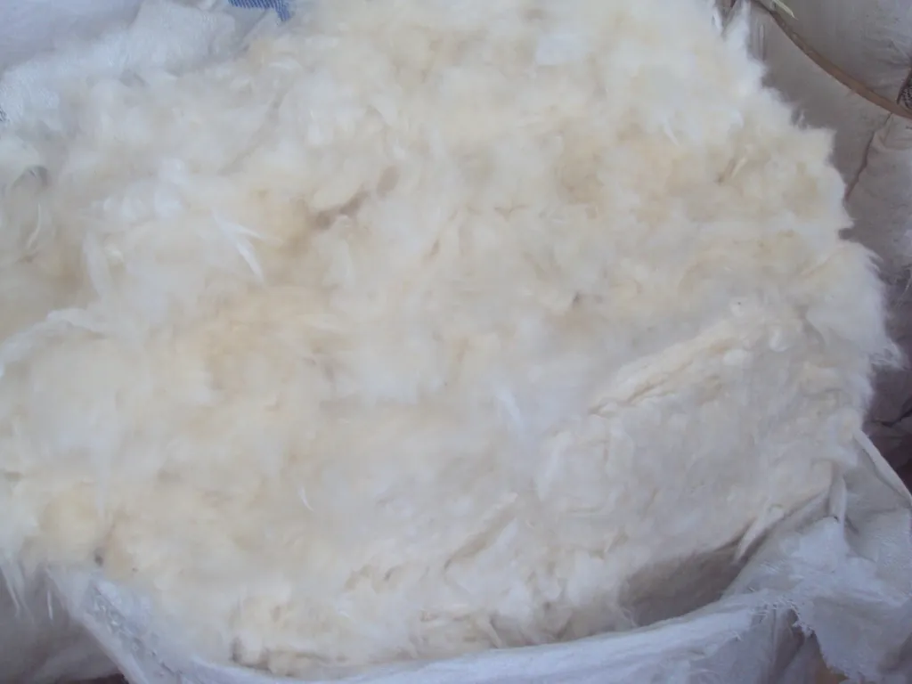 Premium Organic Kapok Fiber & Kapok-Based Products,高级有机木棉纤维及木棉制品, Kapok Fiber from Jepara, Indonesia - CV. Priskilla Organic Kapok Fiber - view 3