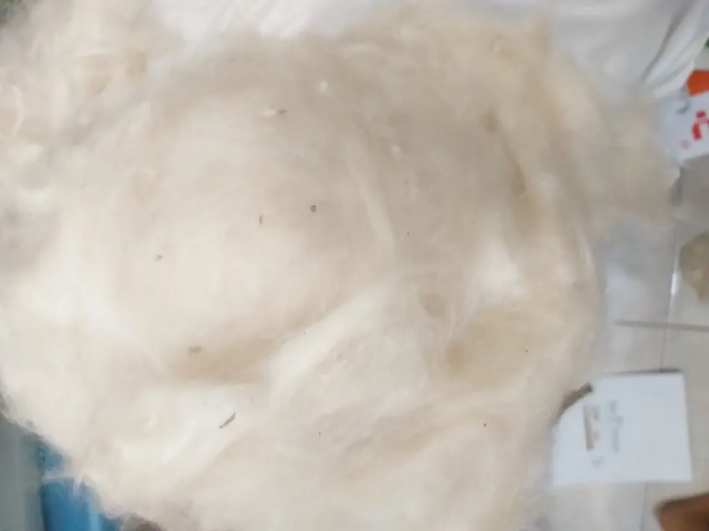 Premium Organic Kapok Fiber & Kapok-Based Products,高级有机木棉纤维及木棉制品, Kapok Fiber from Jepara, Indonesia - CV. Priskilla Organic Kapok Fiber
