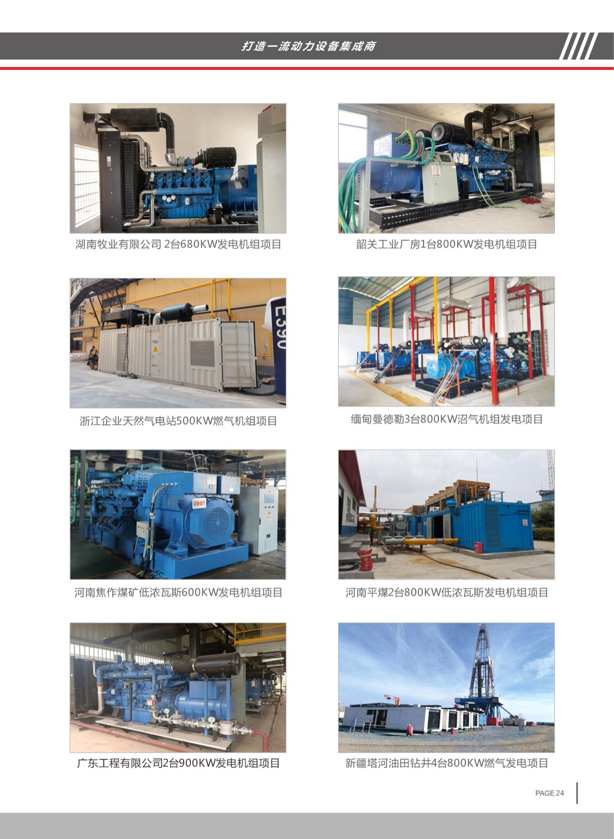 Biogas Power Generation System with Gas Pretreatment